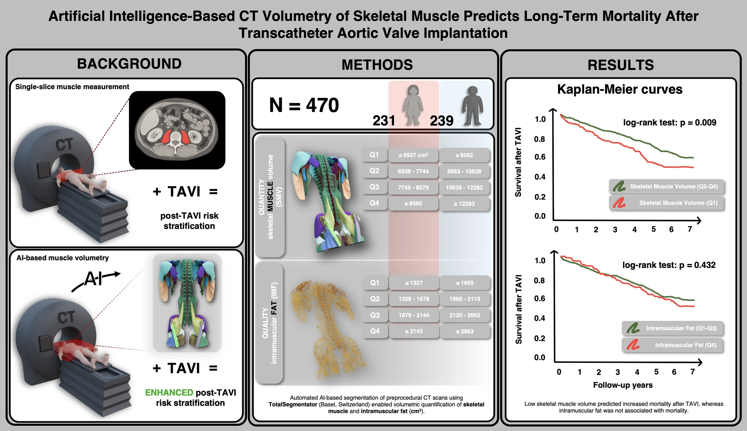 AI-Based CT Volumetry of Skeletal Muscle Predicts Long-Term Mortality After TAVI