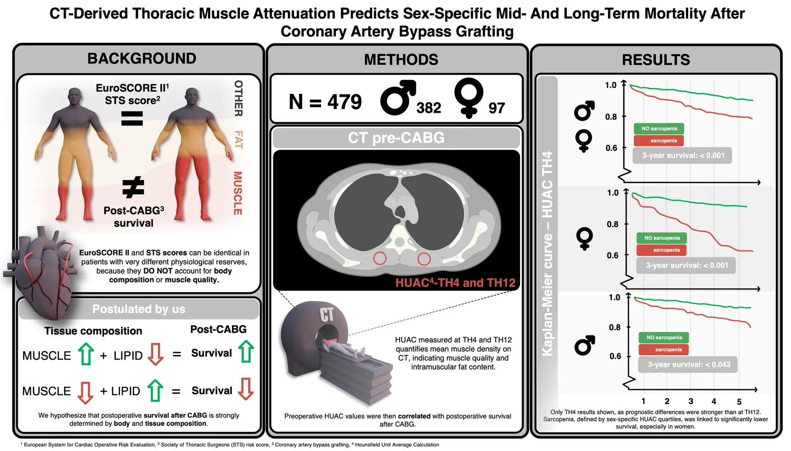 Graphical Abstracts — example by Nikolaus Clodi